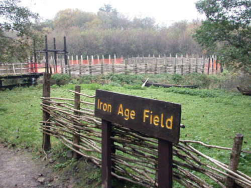 DSCN0714 - Craggaunowen