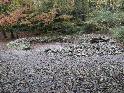 DSCN0719 - Craggaunowen