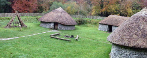 DSCN0721-2 - Craggaunowen