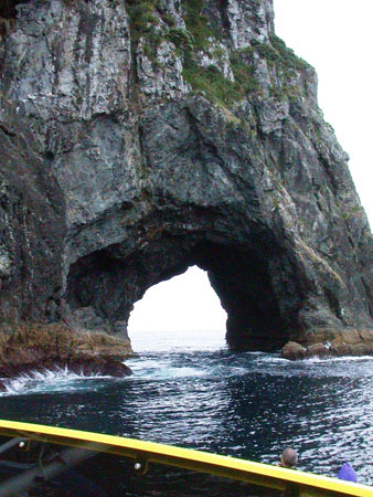 DSCN0896 - Bay Of Islands (Hole In The Rock)