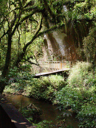 DSCN0955 - Mangapohue Natural Bridge