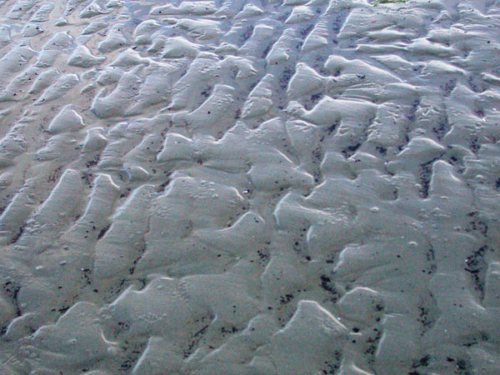 DSCN1075 - Collingwood (Beach)