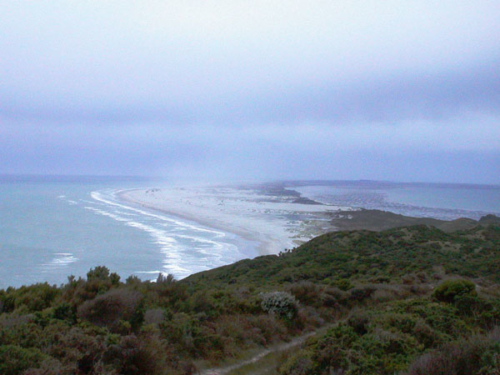 DSCN1081 - Cape Farewell (Pillar Point)