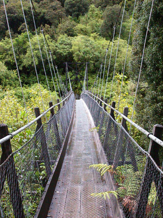 DSCN1148 - Fox Glacier