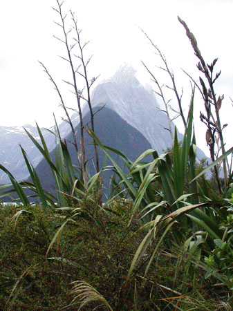 DSCN1165 - Milford Sound