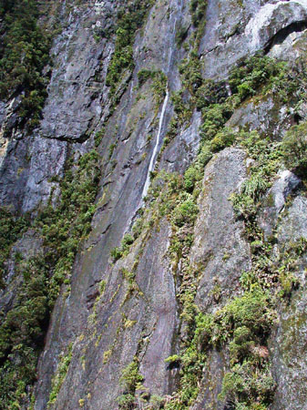 DSCN1171 - Milford Sound