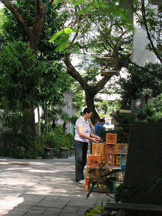 309 - Hongkong - Kowloon Bird Garden