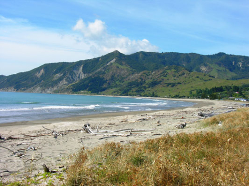 120 Tokomaru Bay DSCN1891
