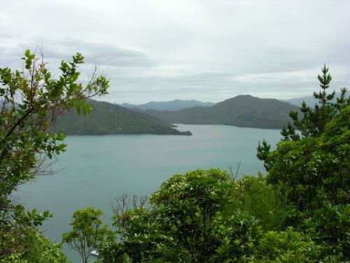 155 Marlborough Sounds DSCN1937