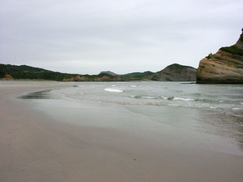 185 Wharariki Beach DSCN1986