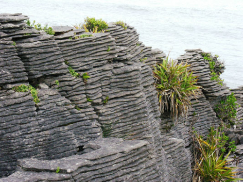 205 Punakaiki DSCN2022