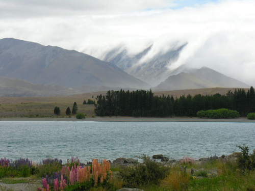 215 Lake Tekapo DSCN2048