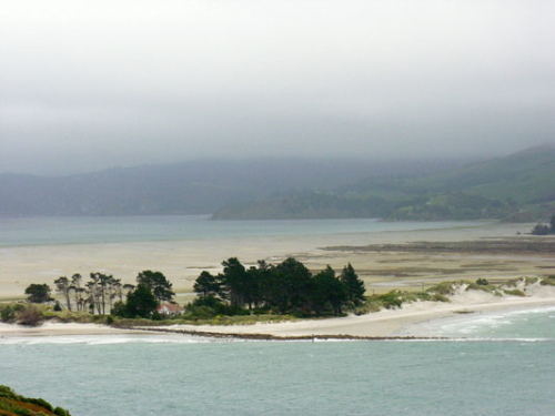 230 Dunedin DSCN2096