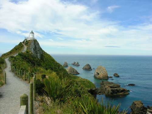 235 Nugget Point DSCN2129