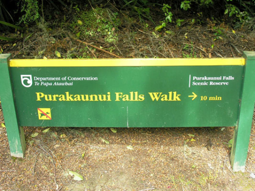 240 Purakaunui Falls DSCN2141