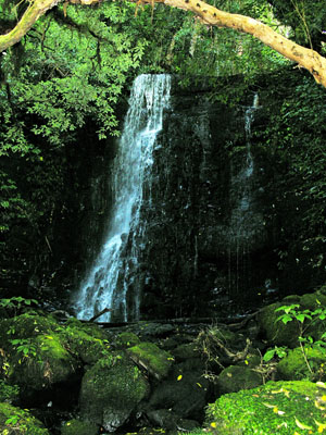 245 Matai Falls DSCN2155