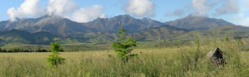 285 To Manapouri pan-2007.12.18 - 08-29