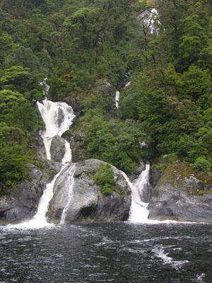 290 Doubtful Sound DSCN2232