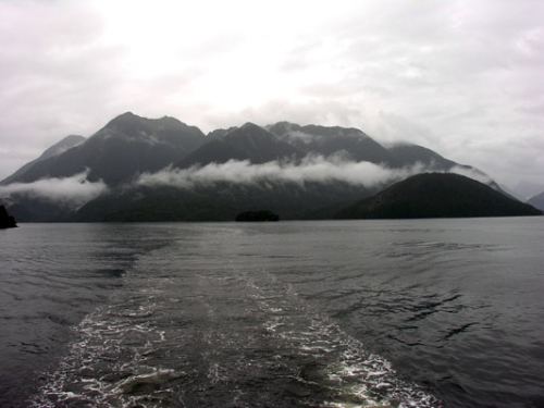 290 Doubtful Sound DSCN2248