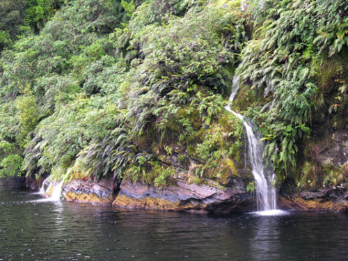 290 Doubtful Sound DSCN2285